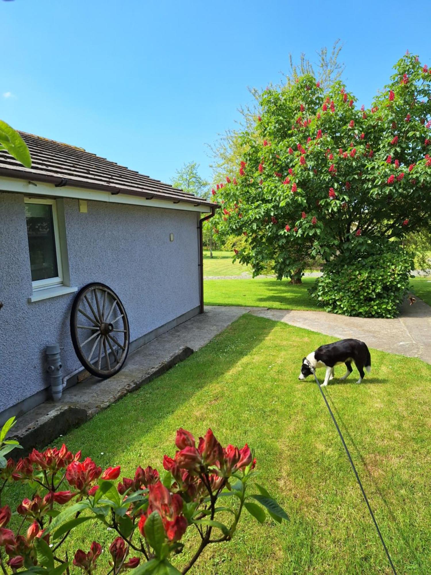 ホテル Thornbury Holiday Park エクステリア 写真