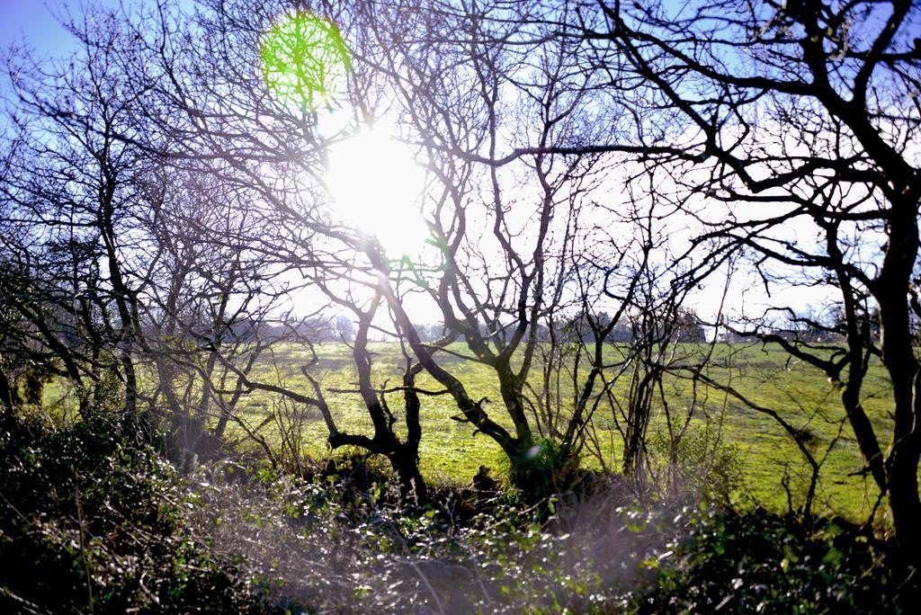 ホテル Thornbury Holiday Park エクステリア 写真