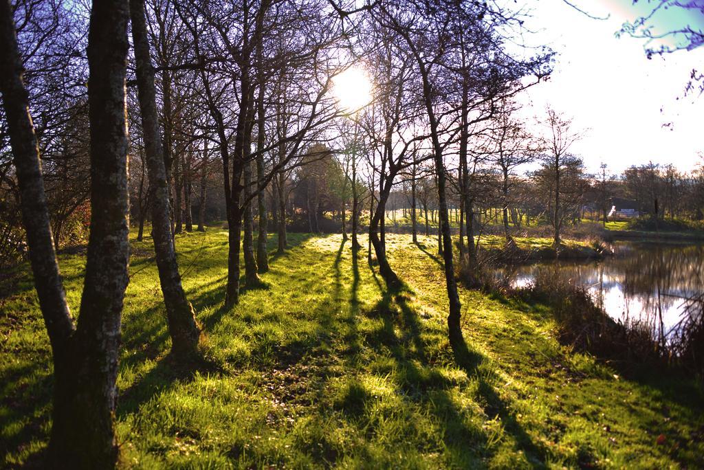 ホテル Thornbury Holiday Park エクステリア 写真