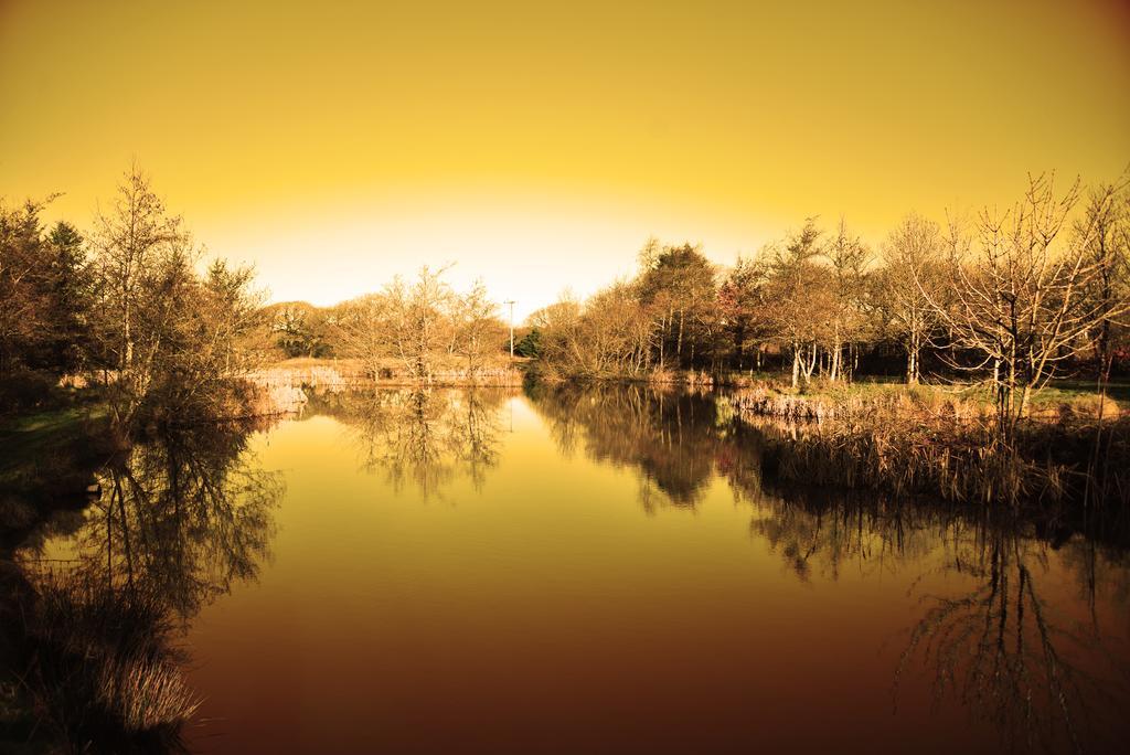 ホテル Thornbury Holiday Park エクステリア 写真