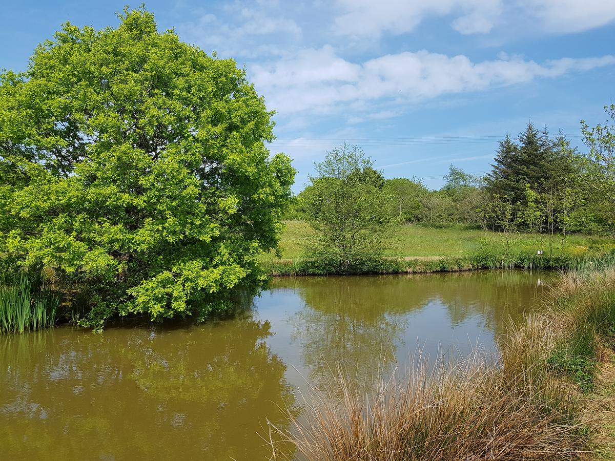 ホテル Thornbury Holiday Park エクステリア 写真