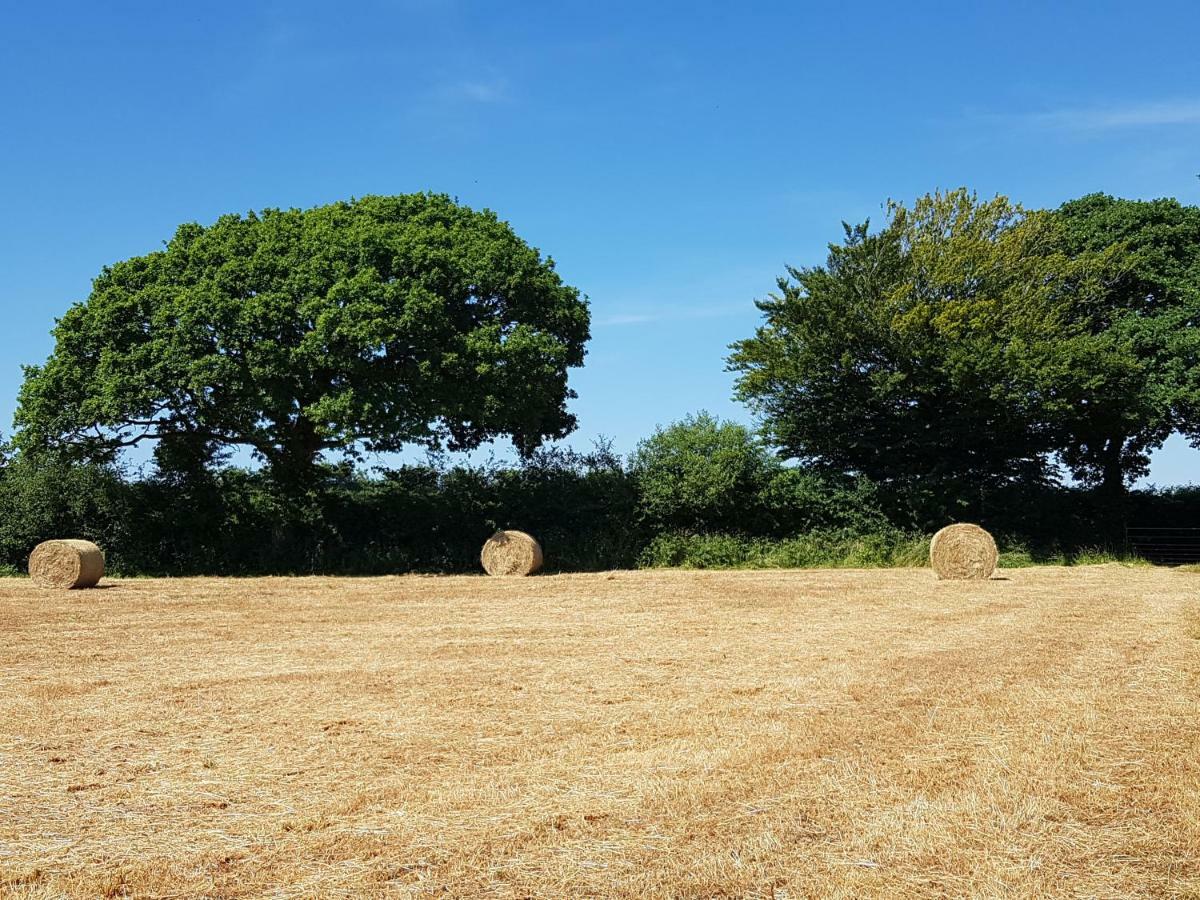 ホテル Thornbury Holiday Park エクステリア 写真